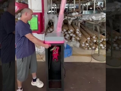 Meccanismo per barriera a braccio per parcheggio HCW con motore brushless DC 24V per la sicurezza del cancello intelligente